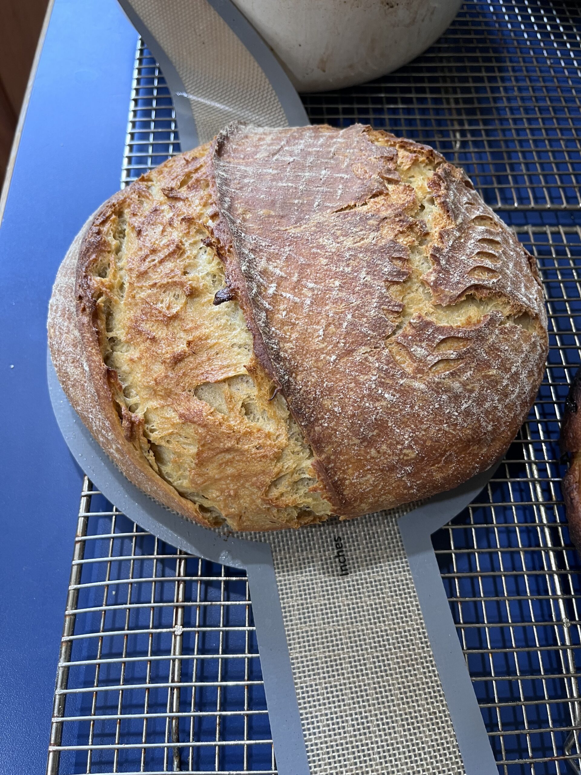 viral sourdough croissant bread but fresh milled