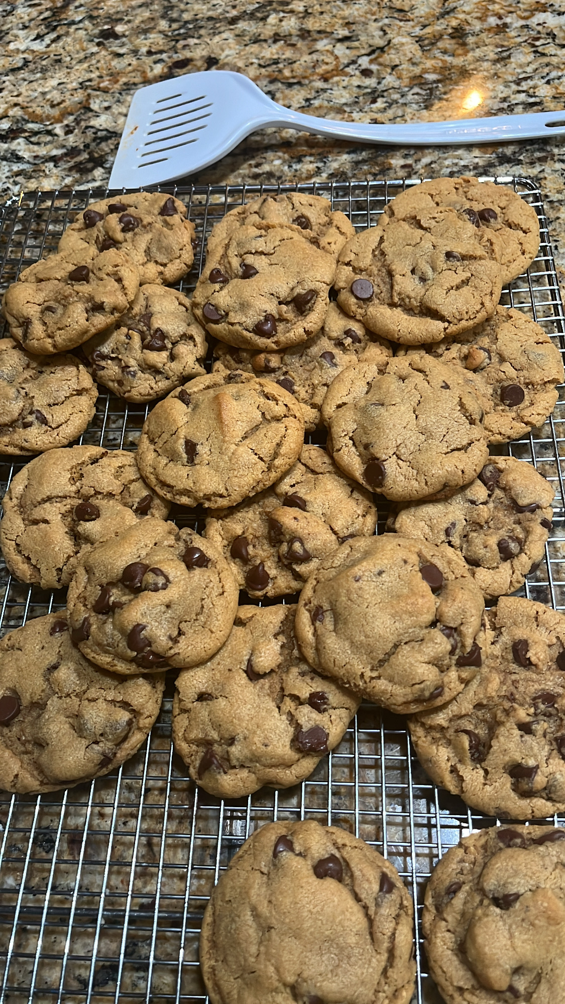 peanut butter chocolate chip cookies made with fresh milled flour